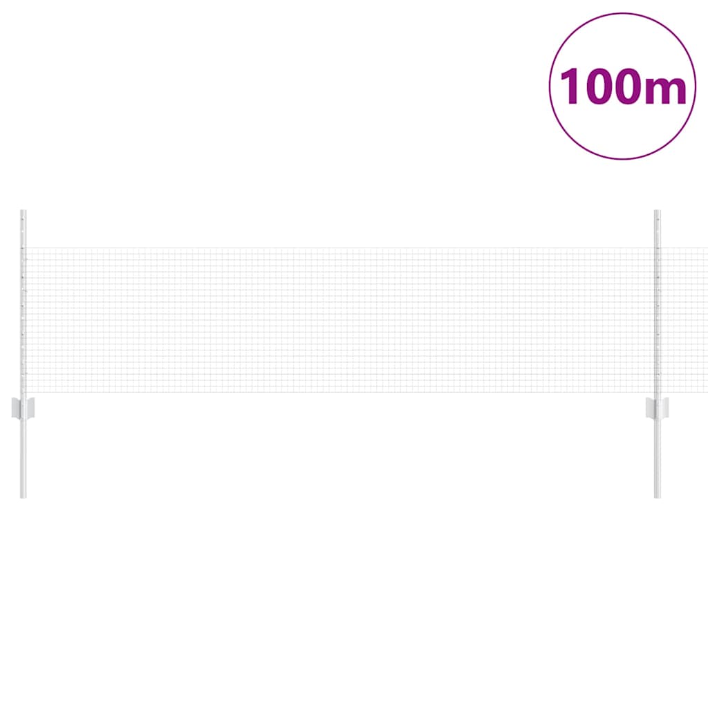 Welded Wire Fence with Posts 100 x 0.5 m Galvanised Steel Mesh