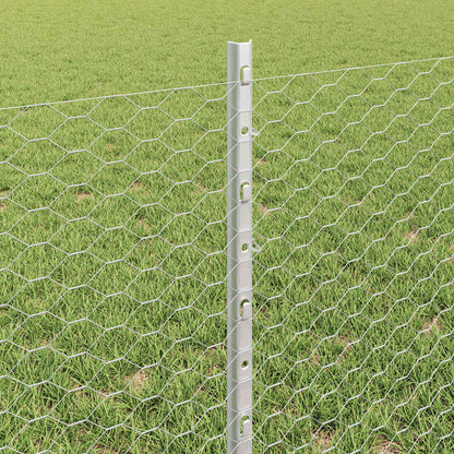 Hexagonal Fence with Post 10 x 0.6 m Galvanised Steel Silver