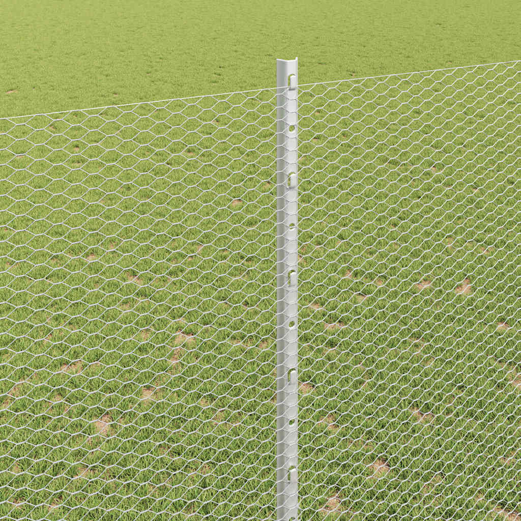 Hexagonal Fence with Post 10 x 1.6 m Galvanised Steel Silver