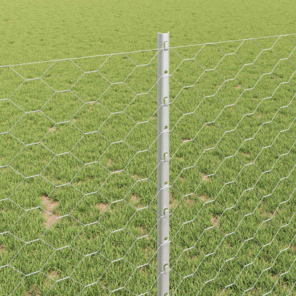 Hexagonal Fence with Post 50 x 1 m Galvanised Steel Silver Mesh