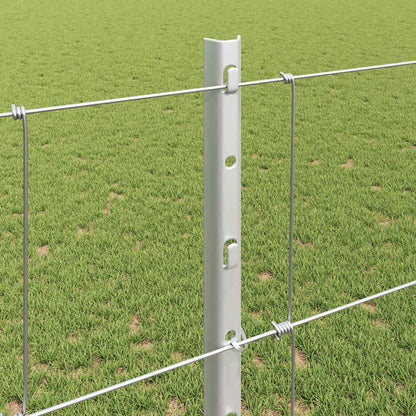 Fence with Post Silver