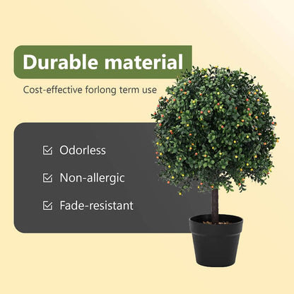 Boxwood Ball Green 35 x 35 x 50 cm Plastic