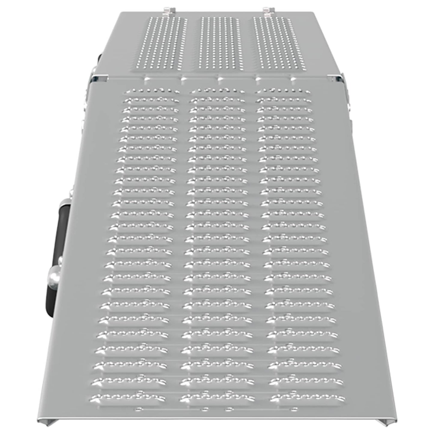 Foldable Ramp 200kg per ramp 2 pcs Silver 200 kg per piece