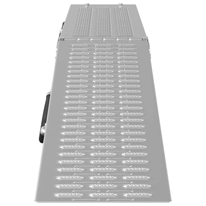 Foldable Ramp 200kg per ramp Silver 200 kg per ramp