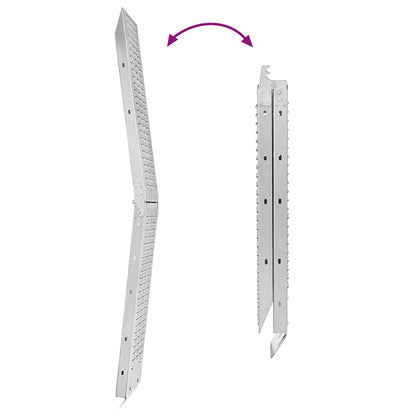 Foldable Ramp 200kg per ramp Silver 200 kg per ramp