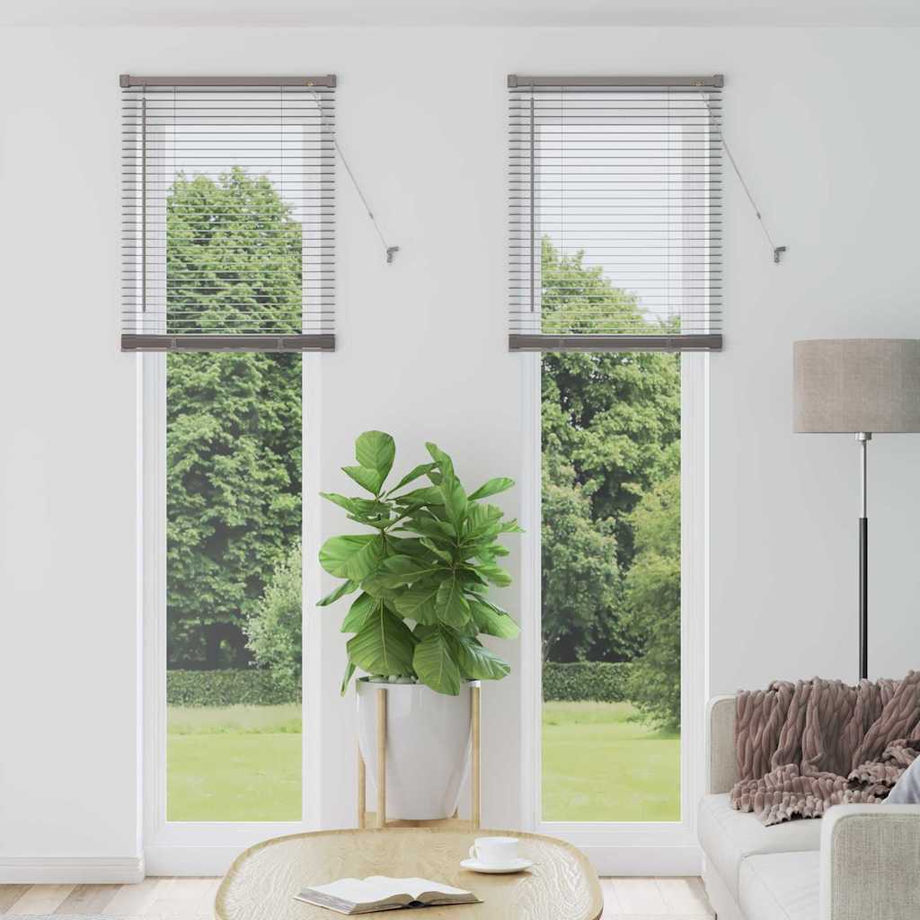 Venetian Blinds Height Adjustable Silver 220 x 55 cm Aluminium