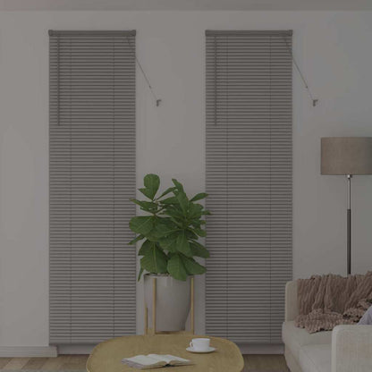Venetian Blinds Height Adjustable Silver 220 x 55 cm Aluminium