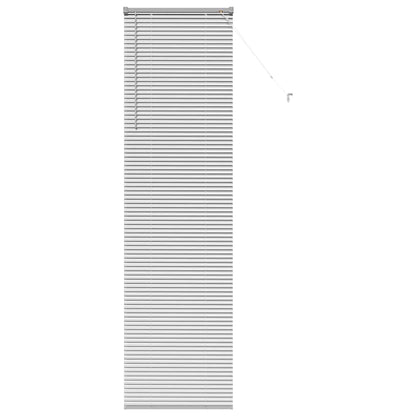 Venetian Blinds Height Adjustable Silver 220 x 55 cm Aluminium