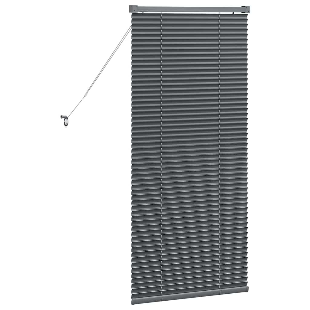 Venetian Blinds Manual Dark Grey 130 x 55 cm Aluminium