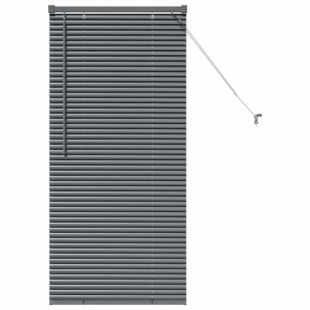 Venetian Blinds Manual Dark Grey 130 x 65 cm Aluminium