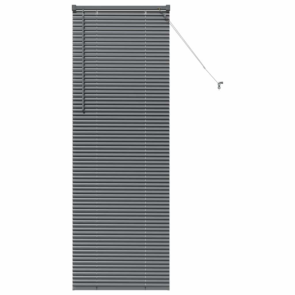 Venetian Blinds Manual Dark Grey 175 x 65 cm Aluminium