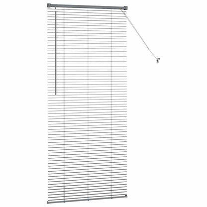 Venetian Blinds Dark Grey 175 x 70 cm Aluminium