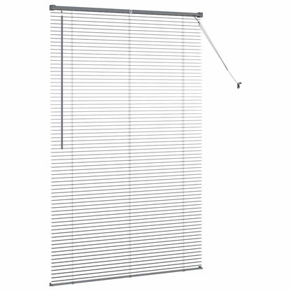 Venetian Blinds Manual Dark Grey 175 x 120 cm Aluminium