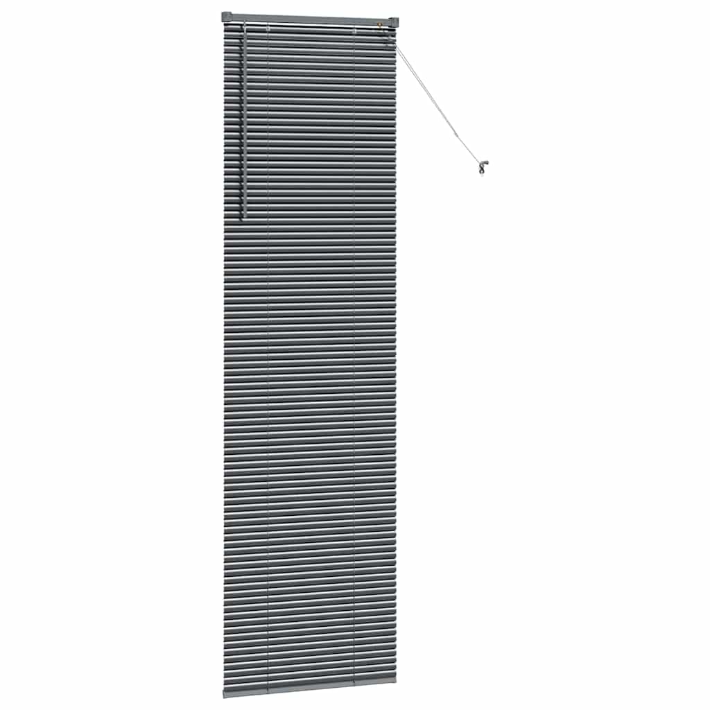 Venetian Blinds Manual Dark Grey 220 x 55 cm Aluminium