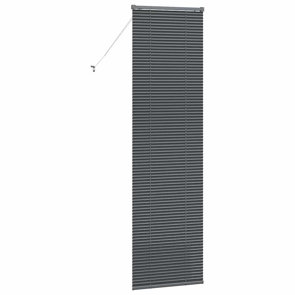 Venetian Blinds Manual Dark Grey 220 x 60 cm Aluminium