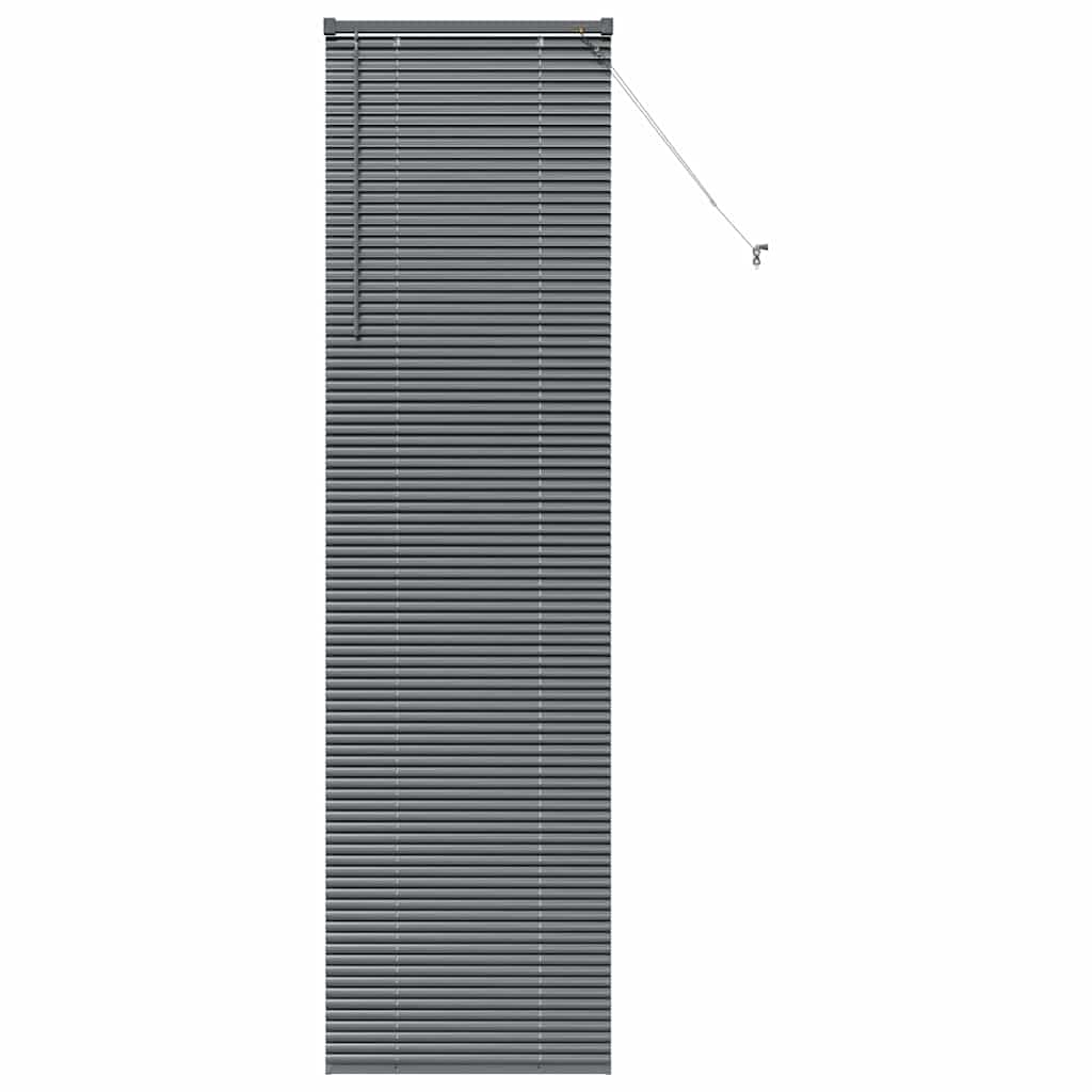 Venetian Blinds Manual Dark Grey 220 x 60 cm Aluminium