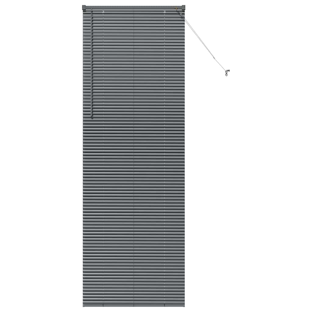 Venetian Blinds Manual Dark Grey 220 x 70 cm Aluminium