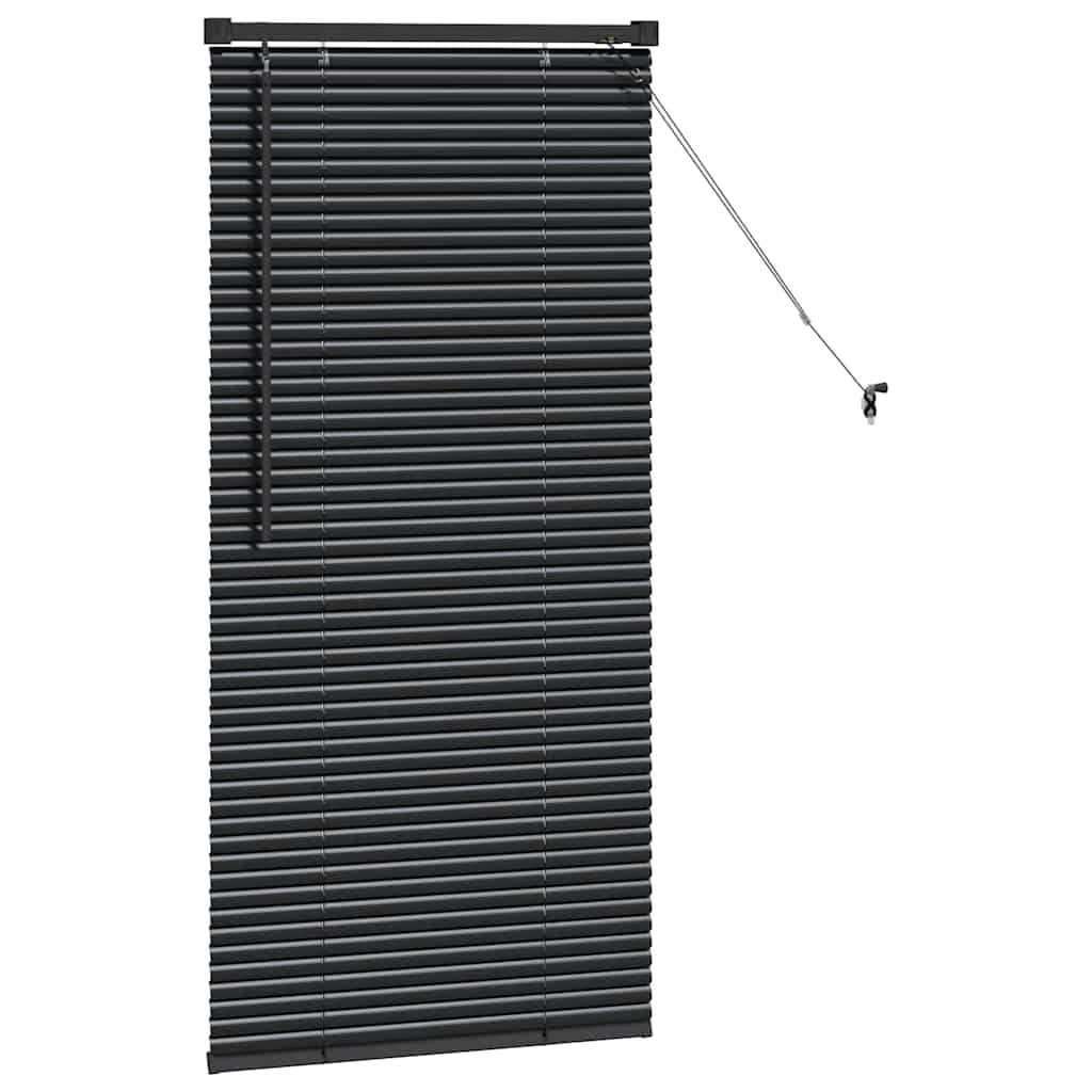 Venetian Blinds Manual Black 60 x 2.5 x 130 cm Aluminium