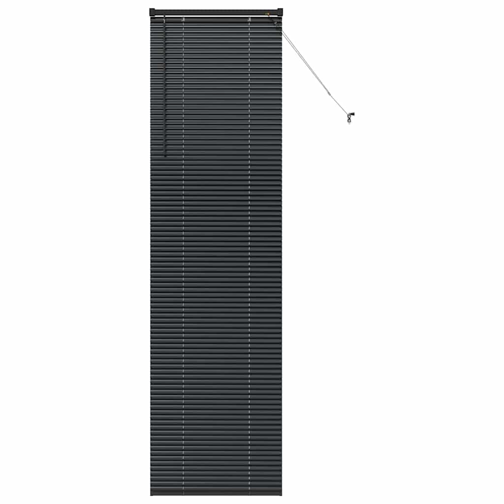 Venetian Blinds Height Adjustable Black 220 x 55 cm Aluminium