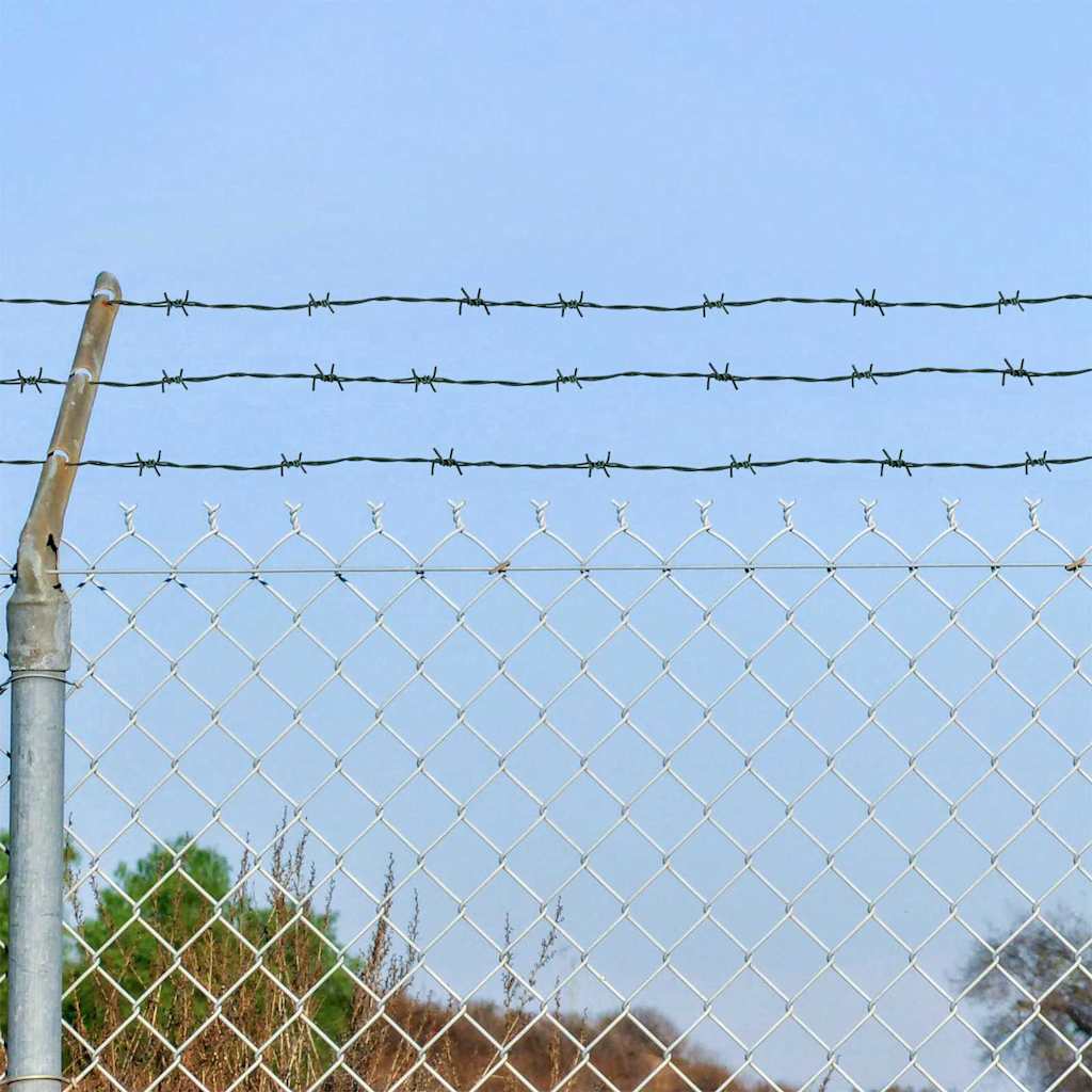 Barbed Wire Green 100 m PVC-coated Steel