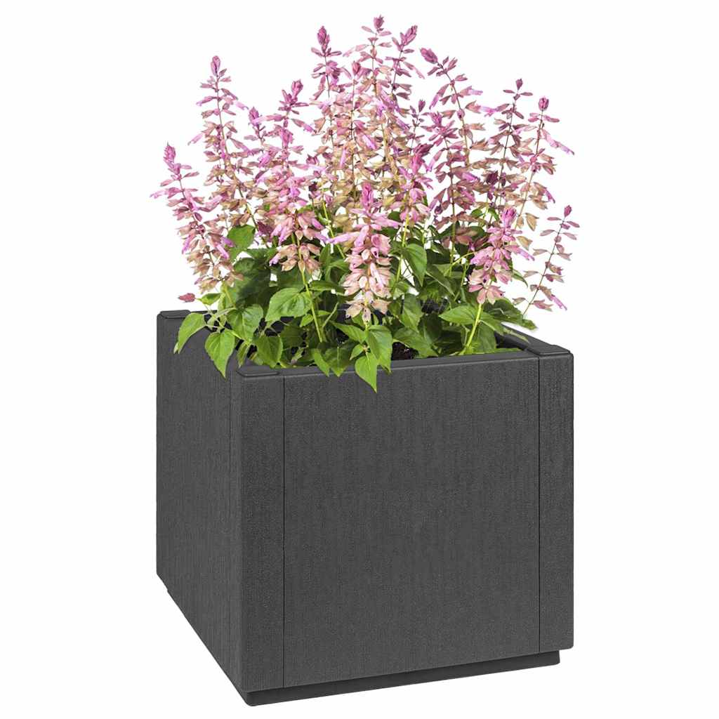 Garden Flower Box Dark Grey 36 x 36 x 35 cm PP