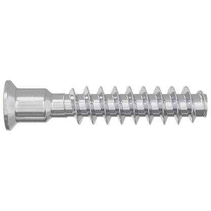 Head Cap Screw 2900 pcs Silver Steel