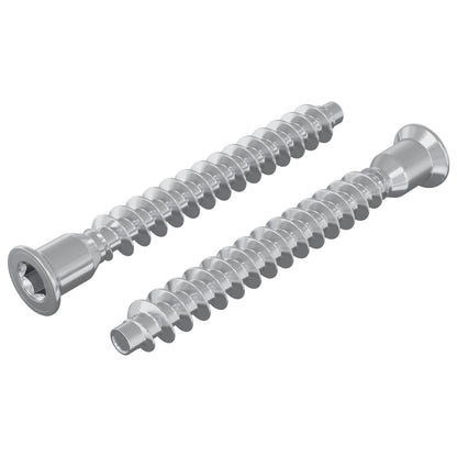 Confirmat Screws 2 pcs Silver Ø7 x 58 mm Metal