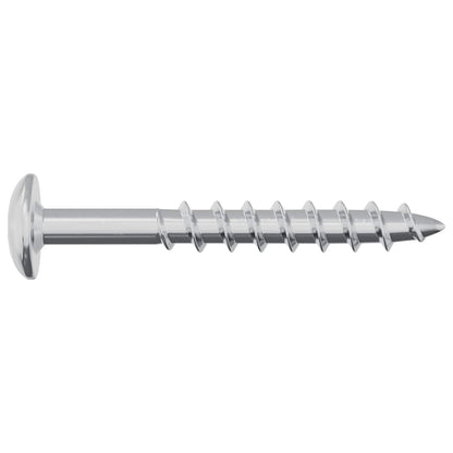 Screw 2 pcs Silver 9.8 x 35 mm Iron
