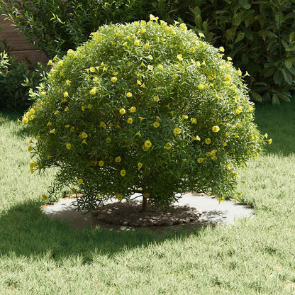 suitable for Flat Tree Ring White Ø30 / 60 cm Steel