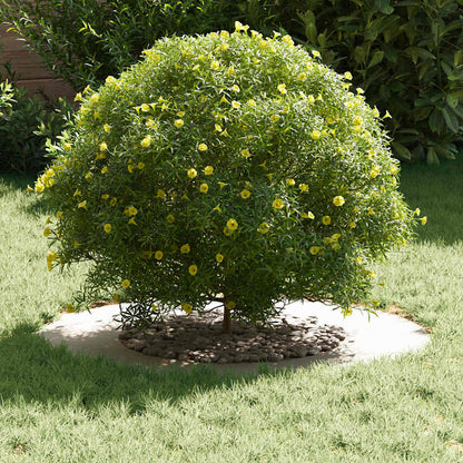 suitable for Flat Tree Rings 5 pcs White Ø40 / 70 cm Steel
