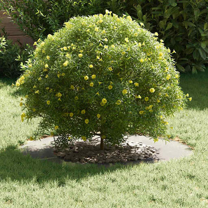 suitable for Flat Tree Ring Silver Ø40 / 70 cm Stainless steel
