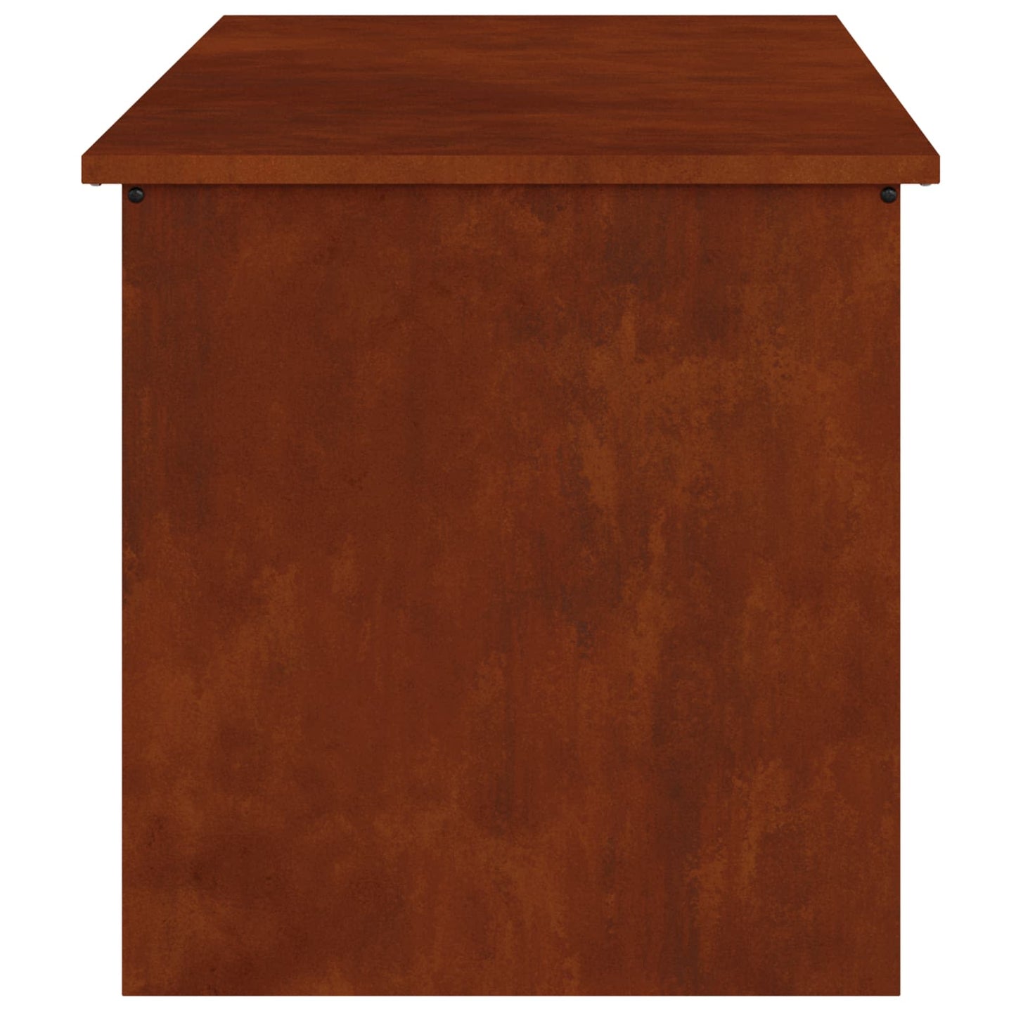 Garden Storage Cushion Box Steel 100 x 50.5 x 50 cm 220 Rusty
