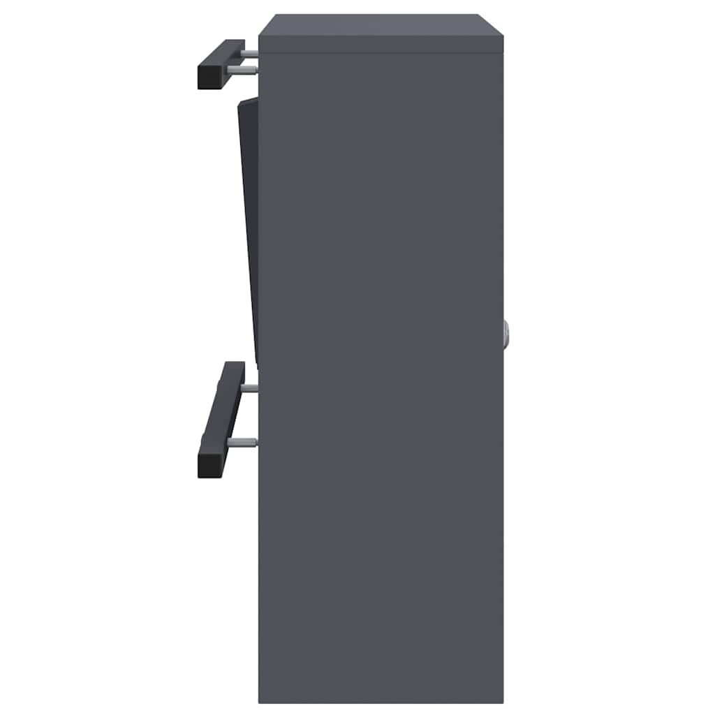 Mailbox with Storage with Door Anthracite 30 x 20 x 55 cm Steel