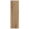 Wall Shoe Cabinet with Shelf Wall-mounted Other with Storage Artisan oak Engineered wood
