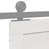 Barn Door White 100 x 210 cm Solid pine wood