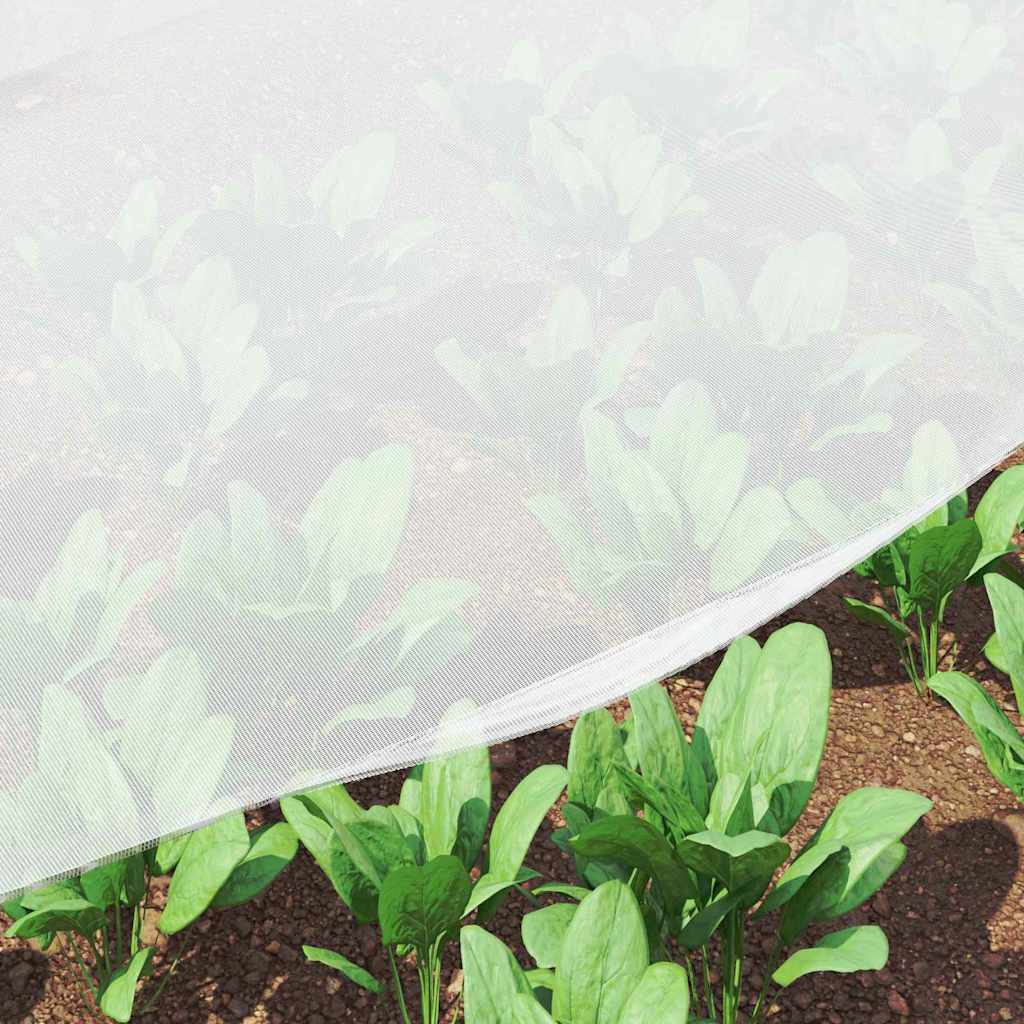 Insect Net White 2 x 5 m Polyethylene