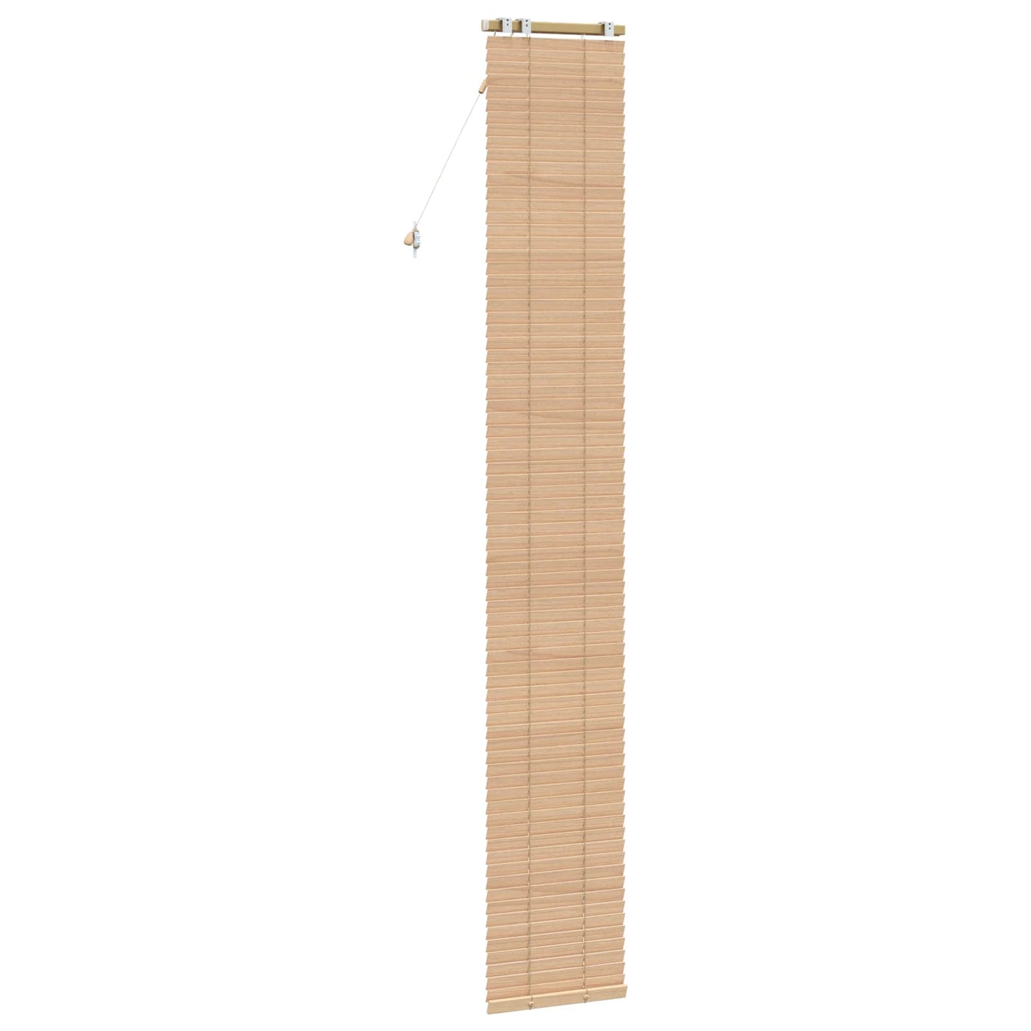 Venetian Blind Oak Look 50 x 250 cm 35 mm Solid Paulownia Wood
