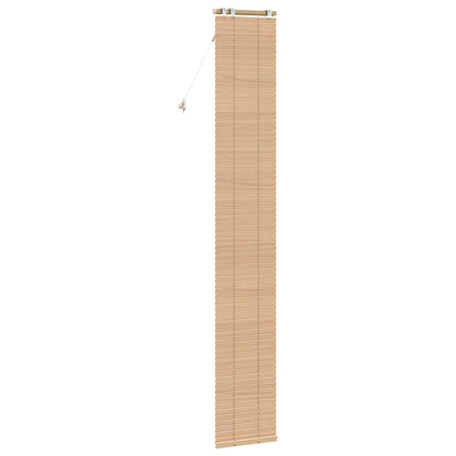 Venetian Blind Oak Look 50 x 250 cm 35 mm Solid Paulownia Wood