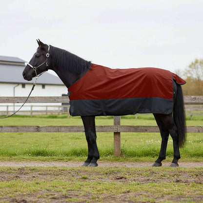 Horse Blanket Bordeaux and Black 135 cm Polyester