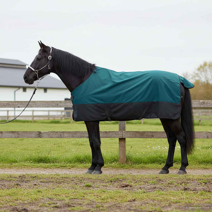 Horse Blanket Dark Green and Black 165 cm Polyester