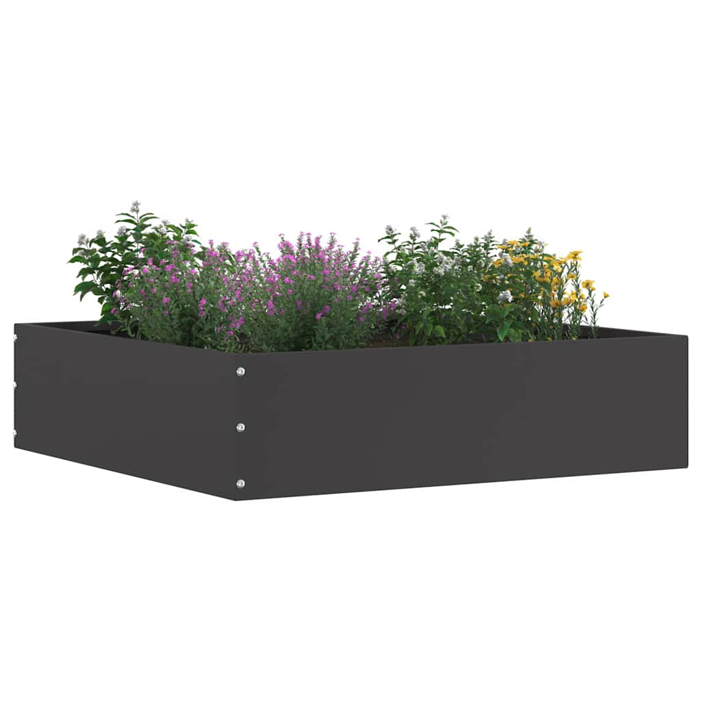 Lawn Edging 6 pcs Black 50 x 50 x 13 cm Steel