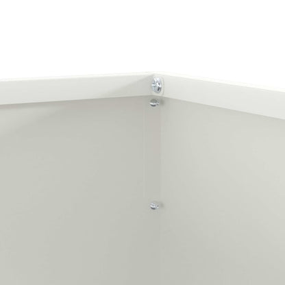 Lawn Edging 6 pcs White 50 x 50 x 13 cm Steel