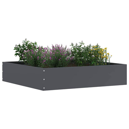 Lawn Edging Anthracite 60 x 60 x 13 cm Steel