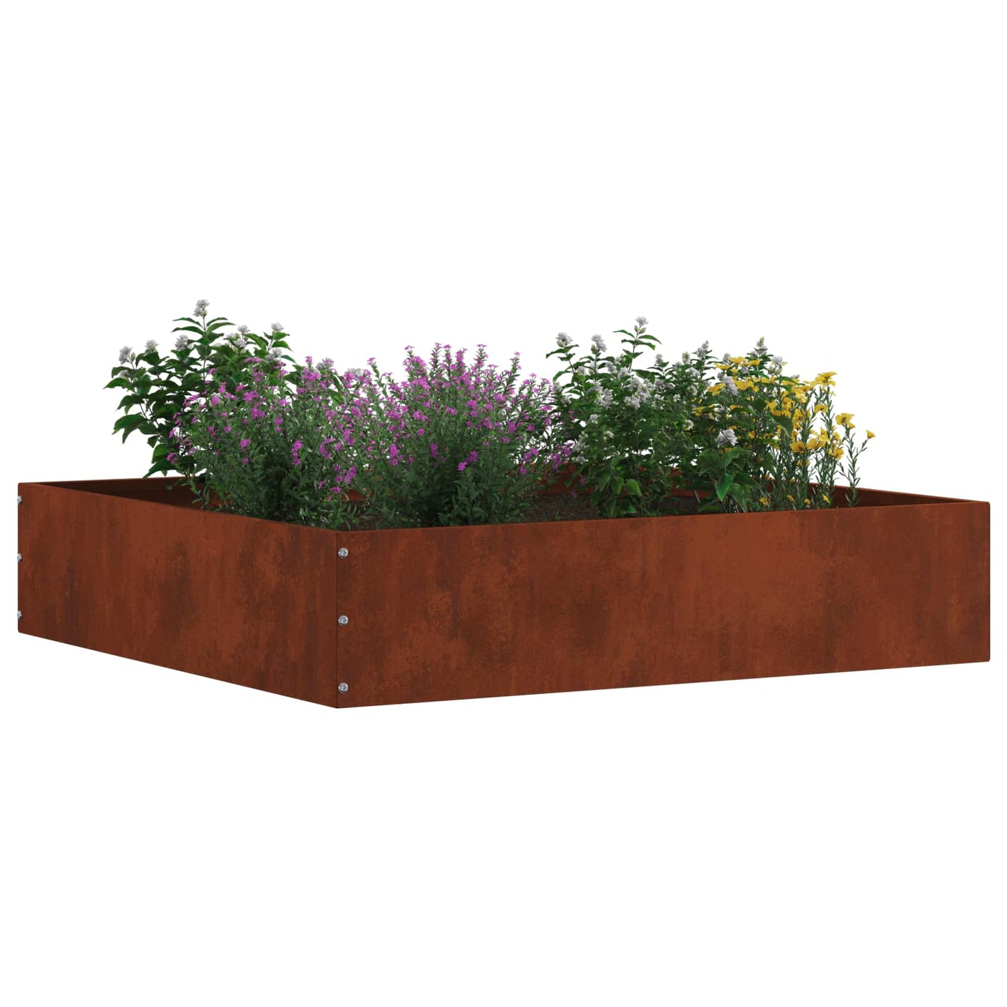 Lawn Edging Rusty 60 x 60 x 13 cm Weathering Steel