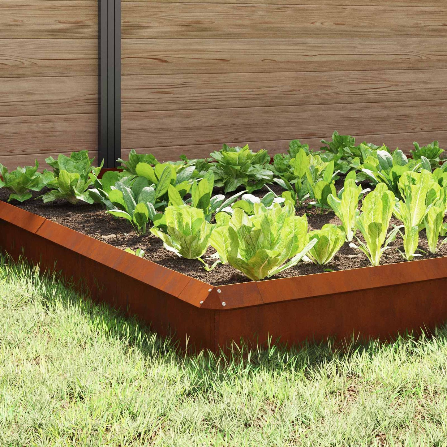 Snail Fences 12 pcs 100 x 3.5 x 25 cm Weathering Steel Rusty