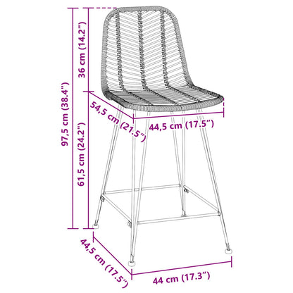 Bar Chair 2 pcs 44.5 x 54.5 x 97.5 cm Rattan and Iron
