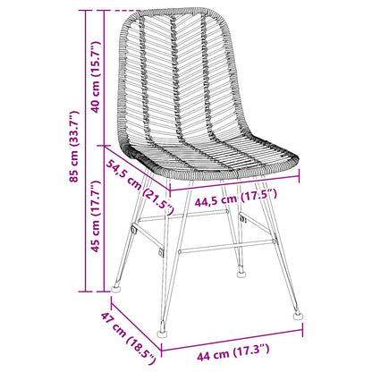 Dining Chair 2 pcs Rattan and Iron Black 44.5 x 54.5 x 85 cm