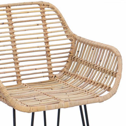 Bar Chair 2 pcs 55 x 52 x 92 cm Rattan and Iron
