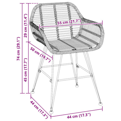 Dining Chair 2 pcs Rattan and Iron Black 55 x 50 x 74 cm