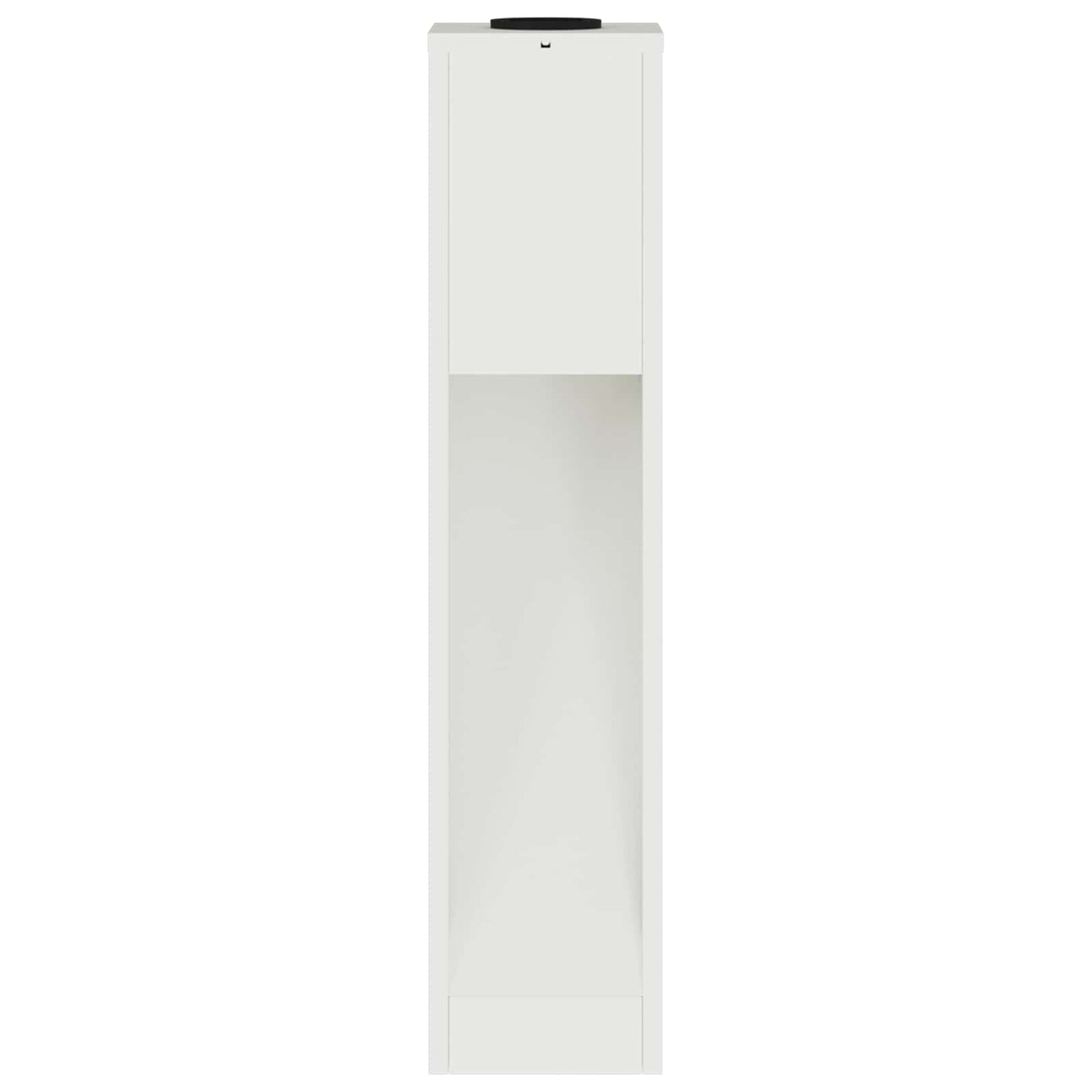 Solar Led Pathway Light 2 pcs White Cold Rolled Steel
